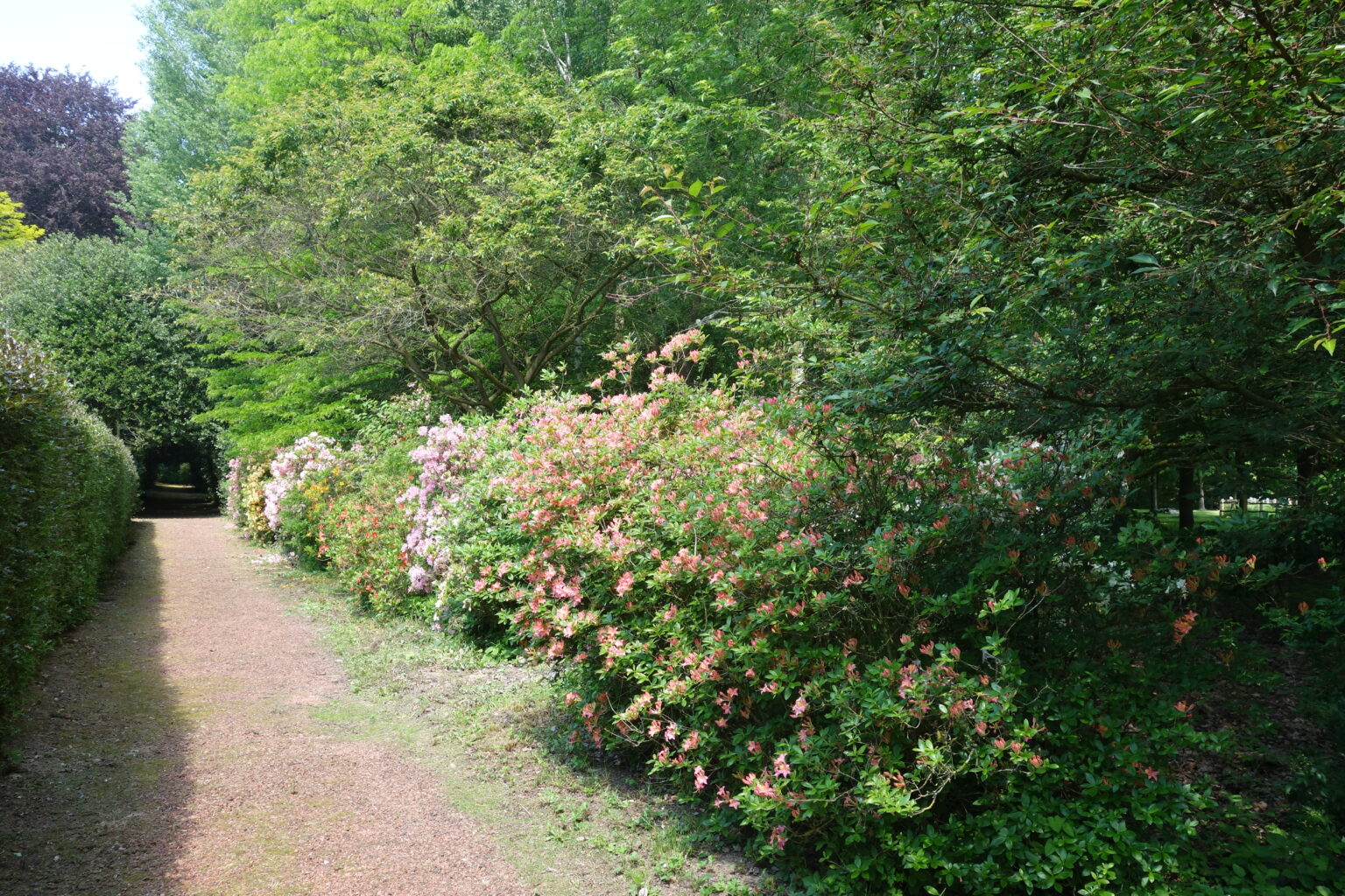 DSC03558