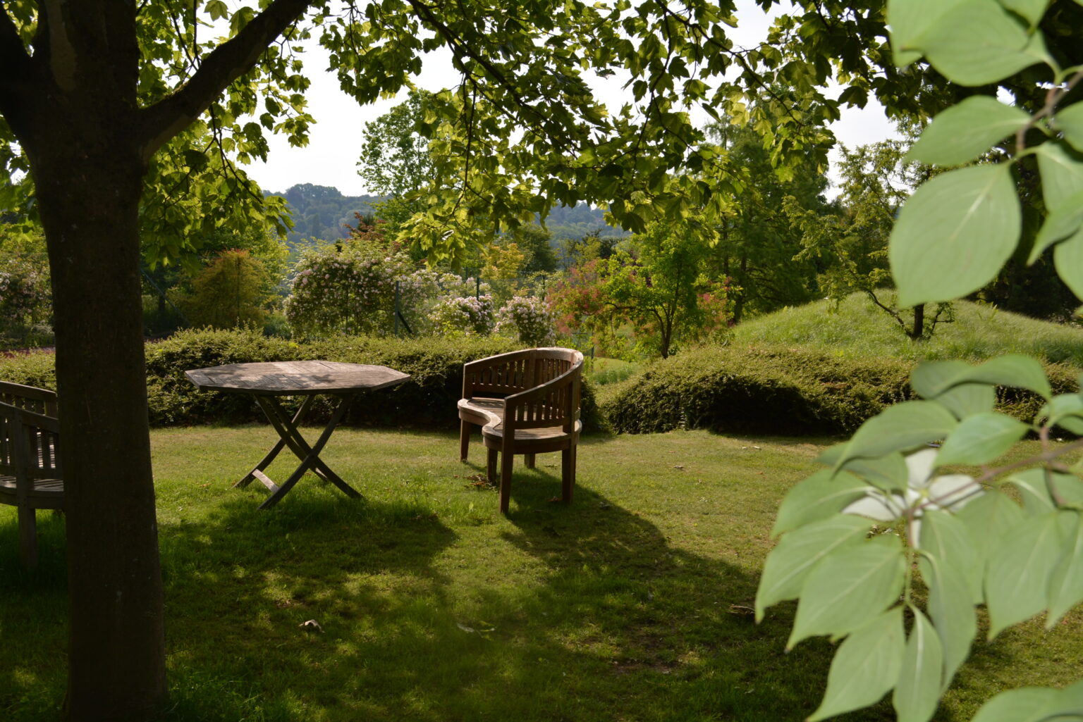 DSC_0174 (1)