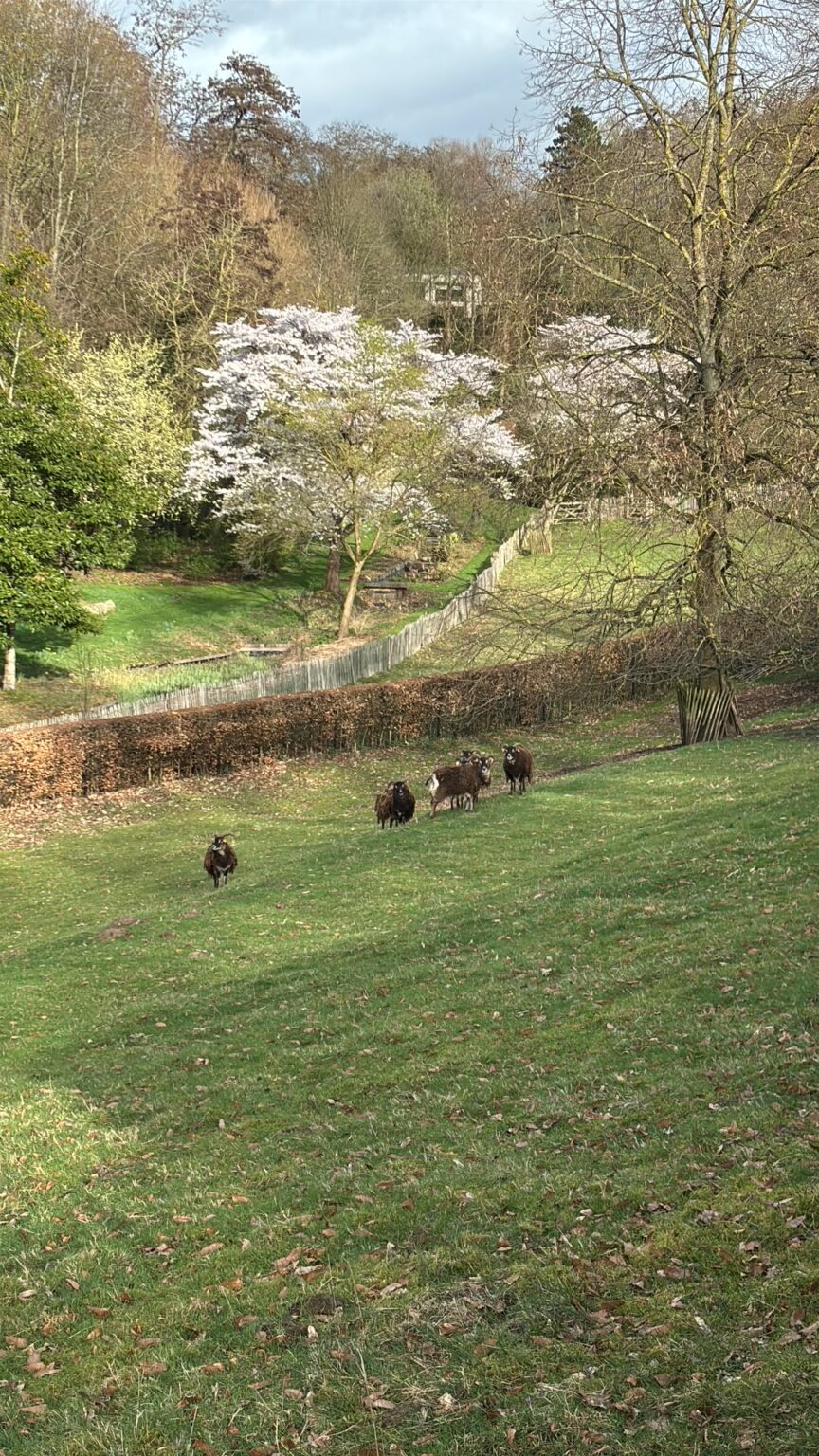 image0